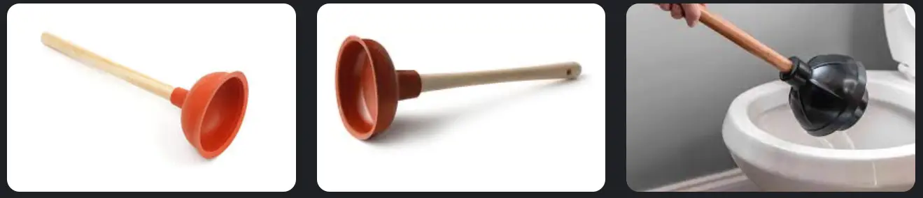 Plumbing Plunger