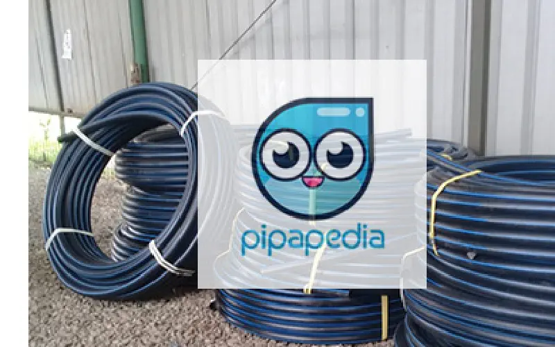 Proyek Pak Asep - Pipa HDPE - Sentul